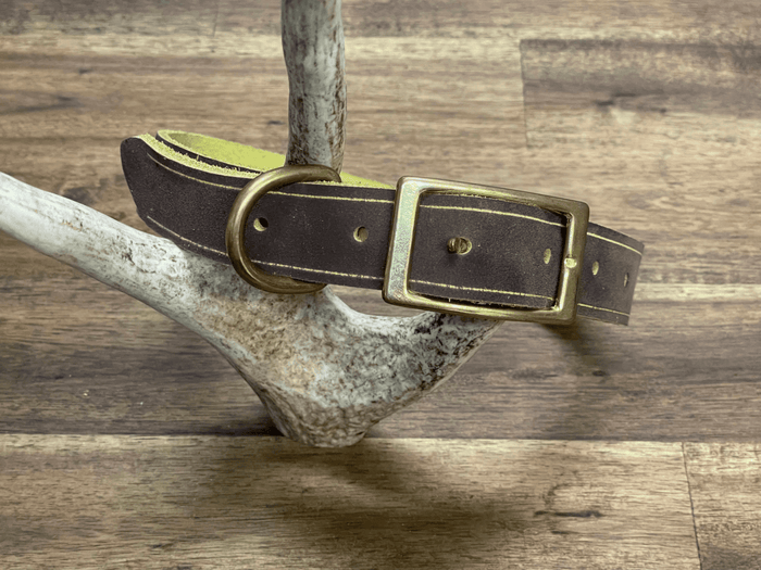 Dogtraining101 Large Yellow Two Tone - Soft Leather