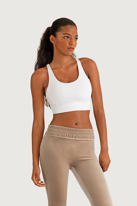 Z5603Y - BLOCHeverhold™ Sports Bra Crop