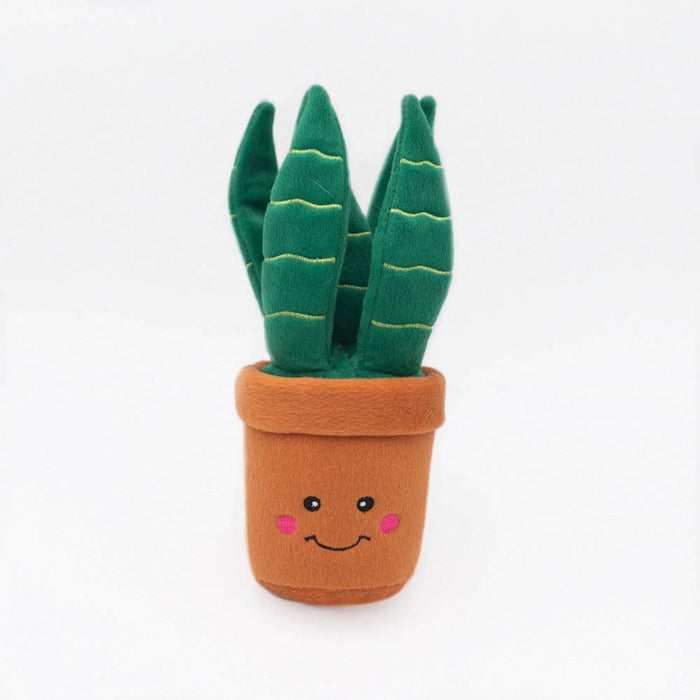 Dogtraining101 Retail Super Store Zippy Paws Snake Plant