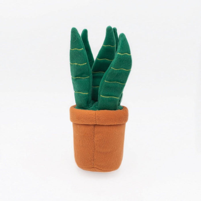 Dogtraining101 Retail Super Store Zippy Paws Snake Plant